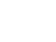 Duex logo